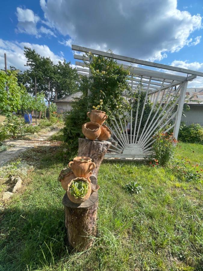 Casa Enisalaゲストハウス エクステリア 写真